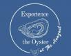 Experience the Oyster seafood festival