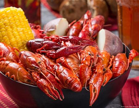 Join us for the Zydeco and Crawfish Festival in Gulf Shores, Alabama this Spring