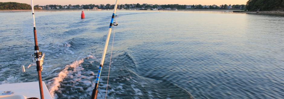 fishing gulf shores alabama