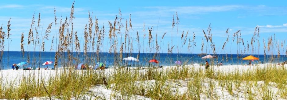 Beach with sea oats and umbrellas