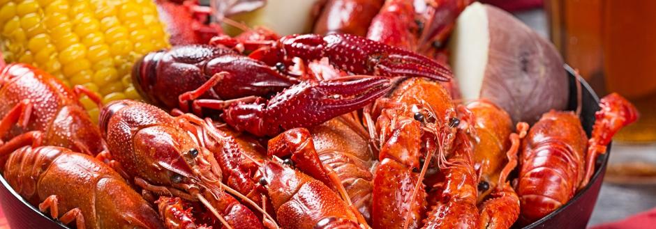 Join us for the Zydeco and Crawfish Festival in Gulf Shores, Alabama this Spring