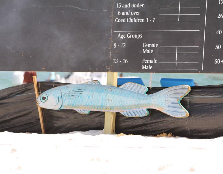 scoreboard fro mullet toss