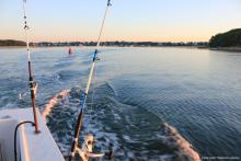 fishing gulf shores alabama