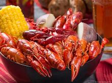 Join us for the Zydeco and Crawfish Festival in Gulf Shores, Alabama this Spring