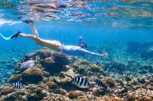 Snorkeling on the Alabama Gulf Coast