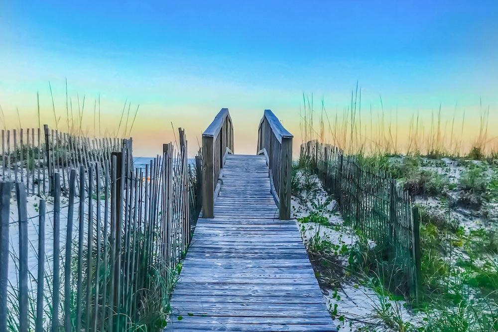 Dunes in Gulf Shores, AL
