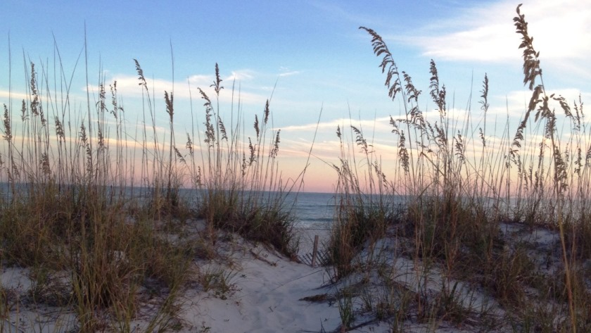 Gulf Shores Sunrise Beach & Sea Oats