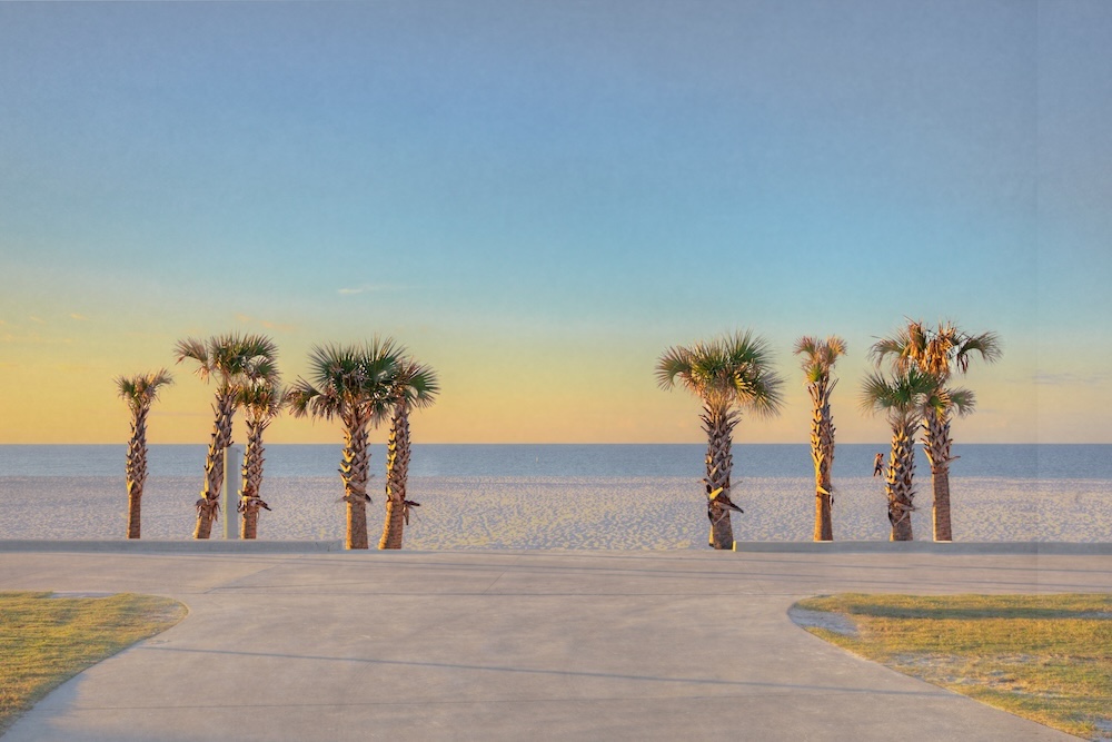 Palm trees on the beach 