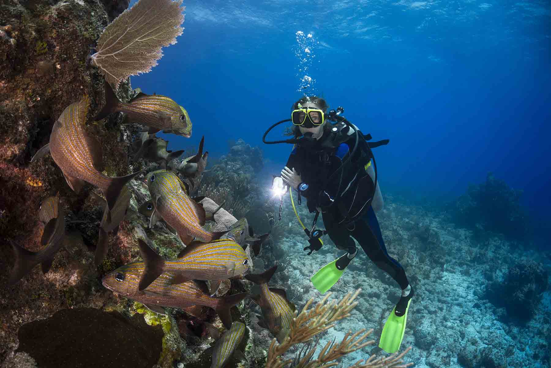 Scuba diver under water